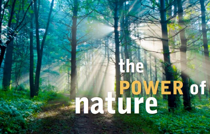Power of nature